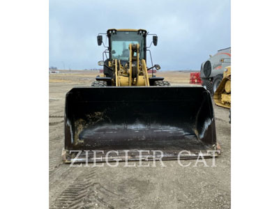 2019 WHEEL LOADERS/INTEGRATED TOOLCARRIERS CAT 938M